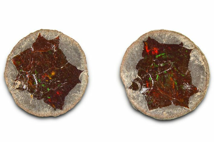 Ethiopian Chocolate Opal Nodule (Pair) - Yita Ridge #369078